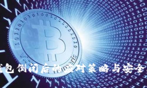 比特币钱包倒闭后的应对策略与安全隐患分析