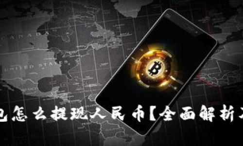 小狐狸钱包怎么提现人民币?全面解析及使用指南