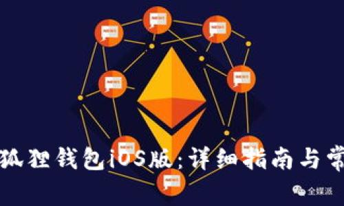 如何安装小狐狸钱包iOS版:详细指南与常见问题解答