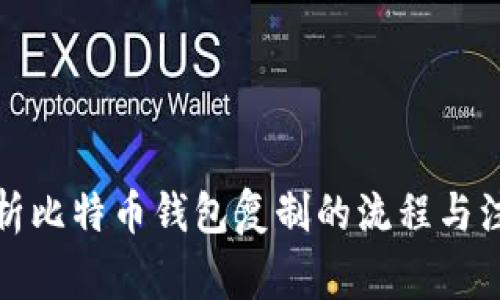 全面解析比特币钱包复制的流程与注意事项