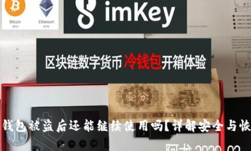 小狐狸钱包被盗后还能继续使用吗?详解安全与恢复策略