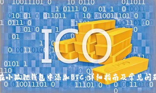 如何在小狐狸钱包中添加BTC:详细指南及常见问题解答