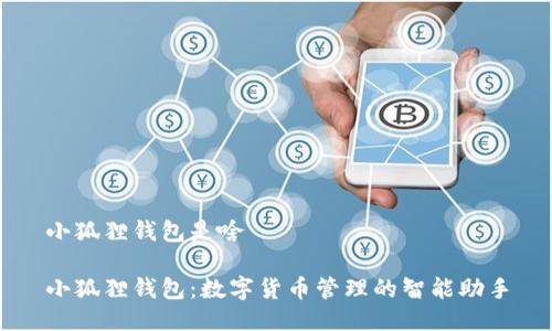 小狐狸钱包是啥
小狐狸钱包:数字货币管理的智能助手