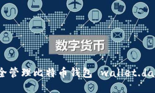 如何安全管理比特币钱包 wallet.dat 文件？