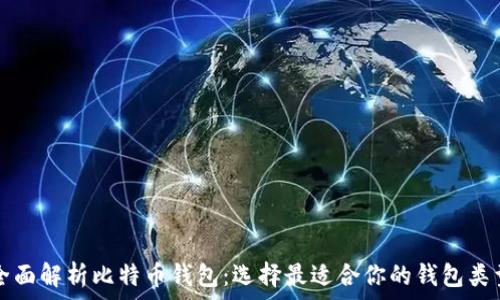   
全面解析比特币钱包：选择最适合你的钱包类型