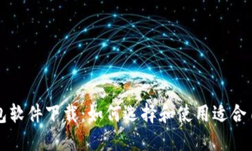 比特币钱包软件下载:如何选择和使用适合自己的钱包