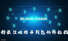 选择最佳比特币钱包的终极指南