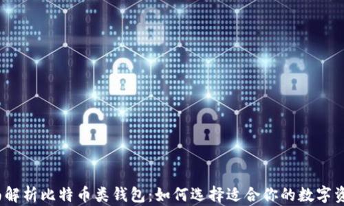 2023年全面解析比特币类钱包:如何选择适合你的数字资产保护工具