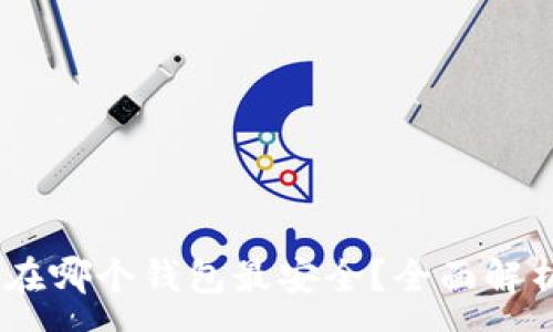 :  
USDT存在哪个钱包最安全？全面解析与推荐