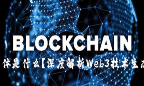 Web3的载体是什么？深度解析Web3技术生态及其应用