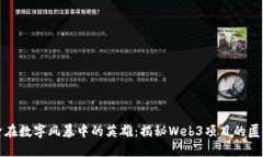 隐身在数字风暴中的英雄：揭秘Web3项目的匿名性