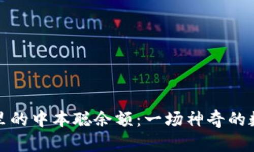 小狐狸钱包里的中本聪余额：一场神奇的数字寻宝之旅