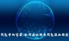数字钱包中的宝藏：如何为比特币钱包添加特定