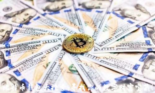 
比特币钱包大搜索：寻找你的数字财富宝藏！