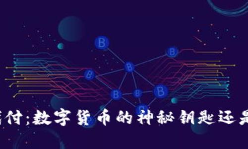 比特币钱包代付：数字货币的神秘钥匙还是虚假的骗子？