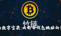 打造你的数字宝藏：比特币钱包地址的修改之道