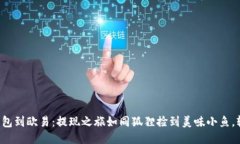 从小狐狸钱包到欧易：提现之旅如同狐狸捡到美