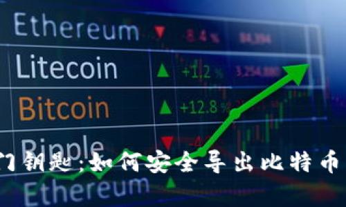 数字金库的门钥匙:如何安全导出比特币钱包助记词?