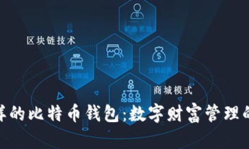 像金库一样的比特币钱包：数字财富管理的智慧之选