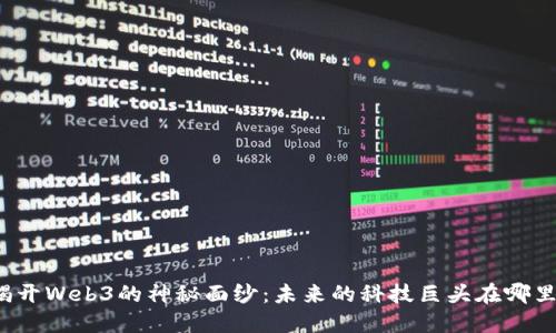 揭开Web3的神秘面纱：未来的科技巨头在哪里？