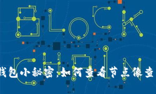  : 小狐狸的钱包小秘密：如何查看节点像查找隐藏的宝藏