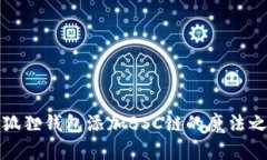 小狐狸钱包添加BSC链的魔法之旅