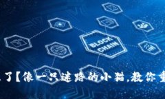 MetaMask卡住了？像一只迷路的小猫，教你重获自由