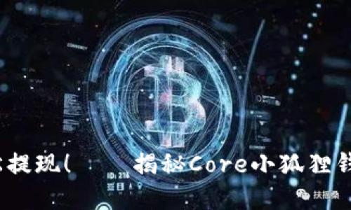 实力强大，轻松提现！——揭秘Core小狐狸钱包提币的秘密
