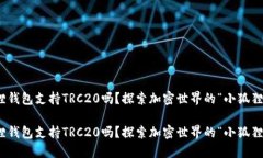 小狐狸钱包支持TRC20吗？探索加密世界的“小狐狸