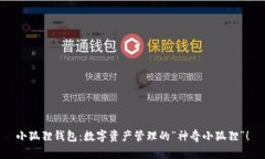 小狐狸钱包：数字资产管理的“神奇小狐狸”！