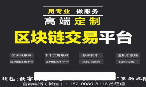 小狐狸钱包：数字财富的守卫，还是“狐狸洞”里的风险暗礁？