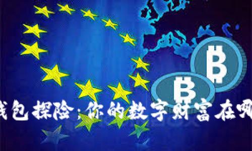 比特币钱包探险：你的数字财富在哪里等候？