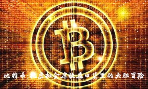 比特币：把虚拟金库放在口袋里的大胆冒险