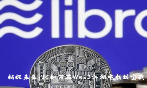  捕捉未来：VC如何在Web3江湖中找到宝藏