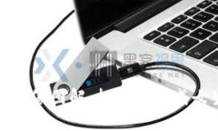 小狐狸钱包的头像图解：把钱包变成女生的时尚