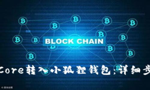 如何将中本聪Core转入小狐狸钱包：详细步骤与注意事项