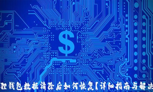 
小狐狸钱包数据清除后如何恢复？详细指南与解决方案