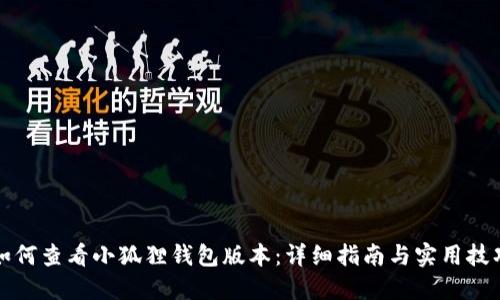 如何查看小狐狸钱包版本：详细指南与实用技巧