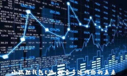 
小狐狸钱包E池：探索多边网络的未来