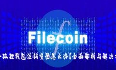 : 小狐狸钱包注销重登怎么办？全面解析与解决方