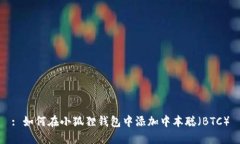: 如何在小狐狸钱包中添加中本聪（BTC）