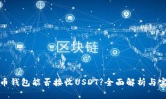 : 比特币钱包能否接收USDT?全面解析与实用指南
