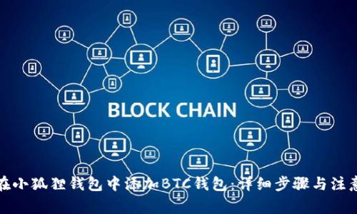 如何在小狐狸钱包中添加BTC钱包：详细步骤与注意事项