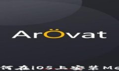 详细指南：如何在iOS上安装MetaMask钱包