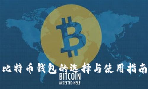 比特币钱包的选择与使用指南