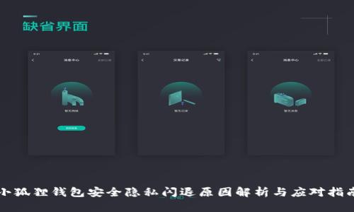 小狐狸钱包安全隐私闪退原因解析与应对指南