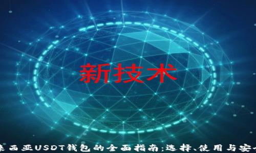 
马来西亚USDT钱包的全面指南：选择、使用与安全性