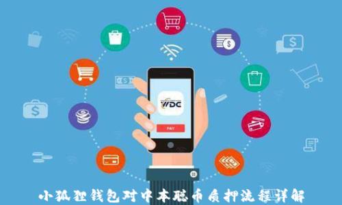 
小狐狸钱包对中本聪币质押流程详解