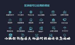 小狐狸钱包丢失的应对措施与恢复攻略