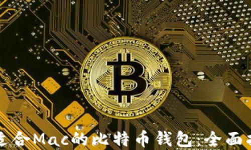 
如何选择适合Mac的比特币钱包：全面指南与推荐